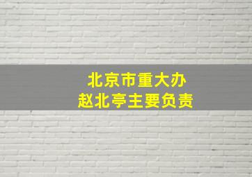 北京市重大办赵北亭主要负责