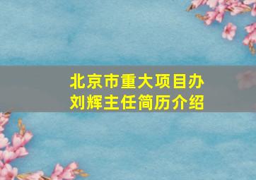 北京市重大项目办刘辉主任简历介绍