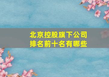 北京控股旗下公司排名前十名有哪些