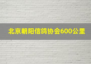 北京朝阳信鸽协会600公里