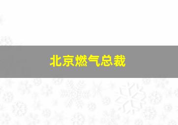 北京燃气总裁