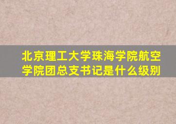 北京理工大学珠海学院航空学院团总支书记是什么级别