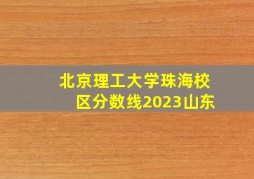 北京理工大学珠海校区分数线2023山东