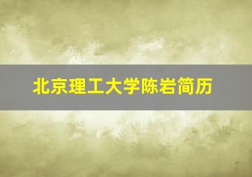 北京理工大学陈岩简历