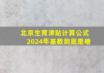 北京生育津贴计算公式2024年基数到底是啥