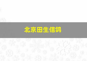 北京田生信鸽