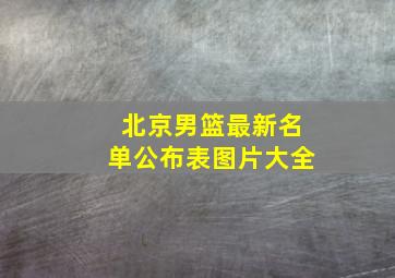 北京男篮最新名单公布表图片大全