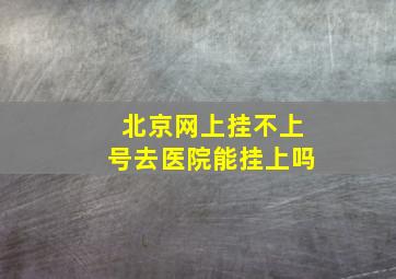 北京网上挂不上号去医院能挂上吗