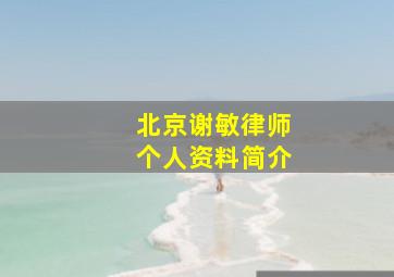 北京谢敏律师个人资料简介