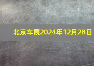 北京车展2024年12月28日