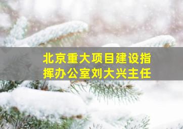 北京重大项目建设指挥办公室刘大兴主任