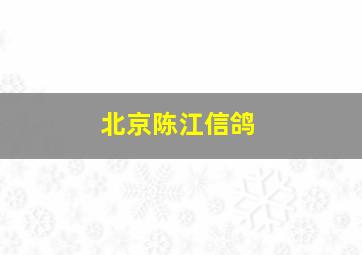 北京陈江信鸽