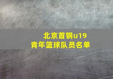 北京首钢u19青年篮球队员名单