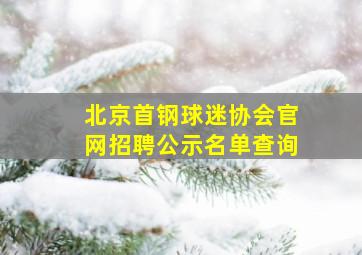 北京首钢球迷协会官网招聘公示名单查询