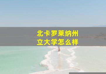 北卡罗莱纳州立大学怎么样