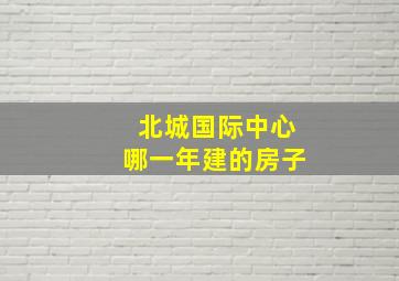 北城国际中心哪一年建的房子