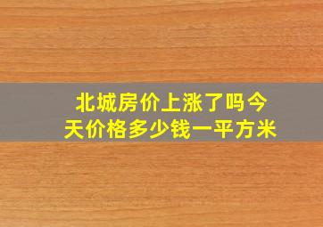 北城房价上涨了吗今天价格多少钱一平方米