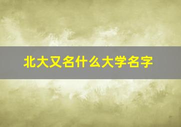 北大又名什么大学名字