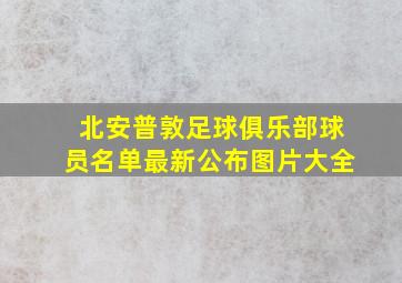 北安普敦足球俱乐部球员名单最新公布图片大全