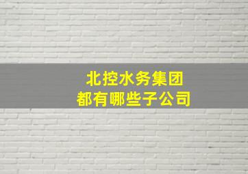 北控水务集团都有哪些子公司