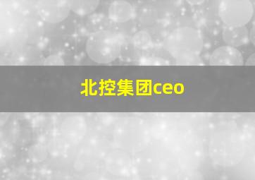 北控集团ceo