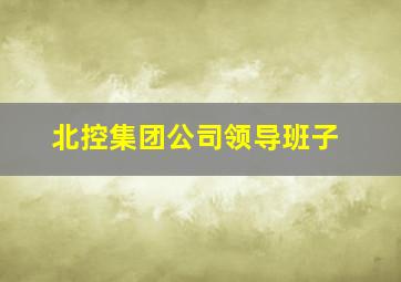 北控集团公司领导班子