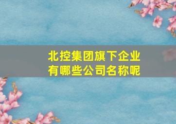 北控集团旗下企业有哪些公司名称呢