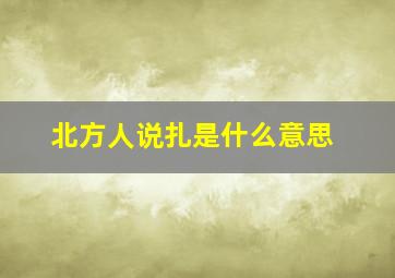 北方人说扎是什么意思