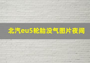 北汽eu5轮胎没气图片夜间