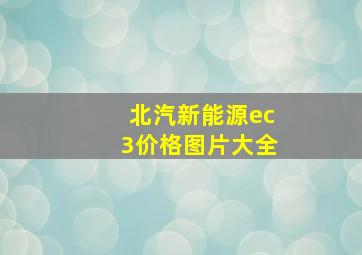 北汽新能源ec3价格图片大全