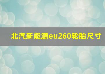 北汽新能源eu260轮胎尺寸