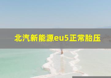 北汽新能源eu5正常胎压