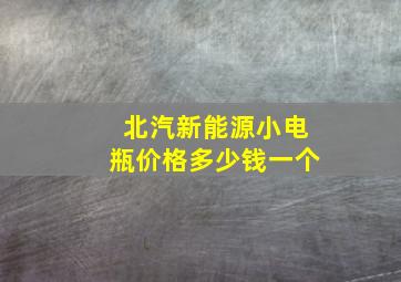 北汽新能源小电瓶价格多少钱一个