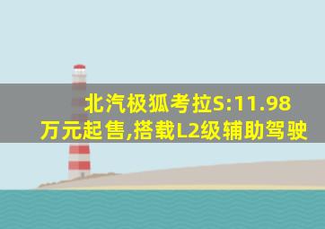 北汽极狐考拉S:11.98万元起售,搭载L2级辅助驾驶