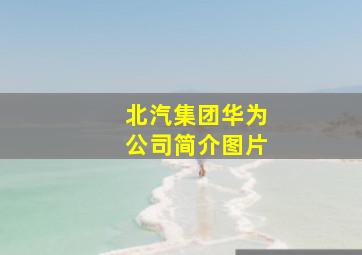 北汽集团华为公司简介图片