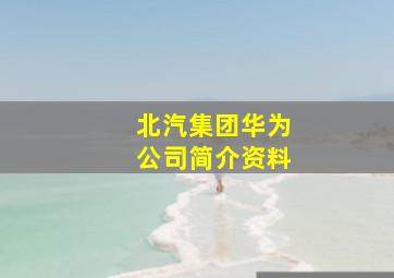 北汽集团华为公司简介资料