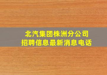 北汽集团株洲分公司招聘信息最新消息电话