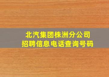 北汽集团株洲分公司招聘信息电话查询号码