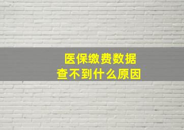 医保缴费数据查不到什么原因