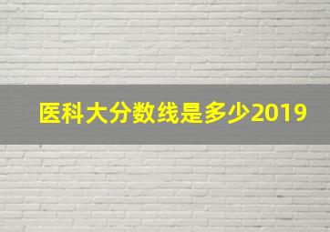 医科大分数线是多少2019