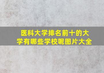 医科大学排名前十的大学有哪些学校呢图片大全