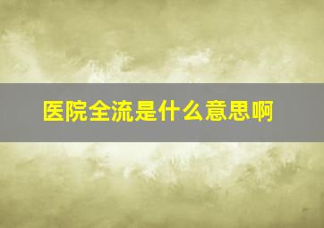 医院全流是什么意思啊