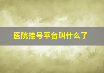 医院挂号平台叫什么了