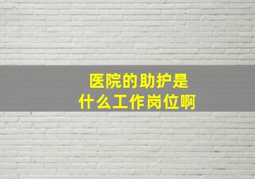 医院的助护是什么工作岗位啊