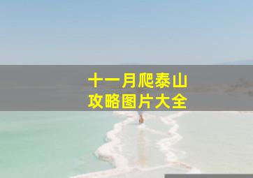 十一月爬泰山攻略图片大全