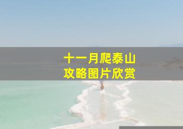 十一月爬泰山攻略图片欣赏