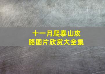 十一月爬泰山攻略图片欣赏大全集