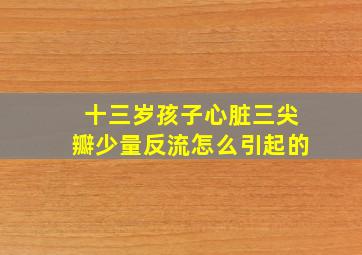 十三岁孩子心脏三尖瓣少量反流怎么引起的