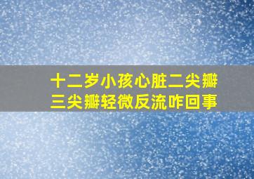 十二岁小孩心脏二尖瓣三尖瓣轻微反流咋回事