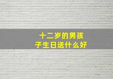 十二岁的男孩子生日送什么好